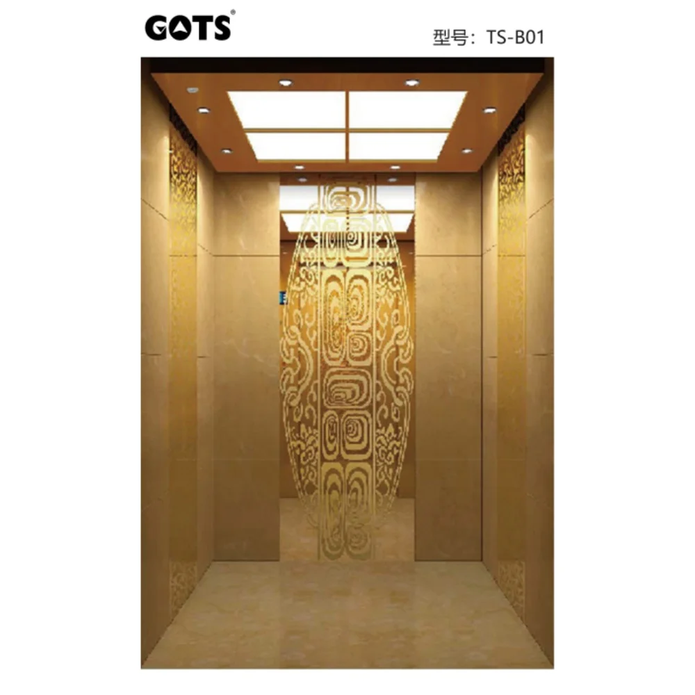 GOTS good quality Otis elevator home hole passenger elevator cheap price elevator