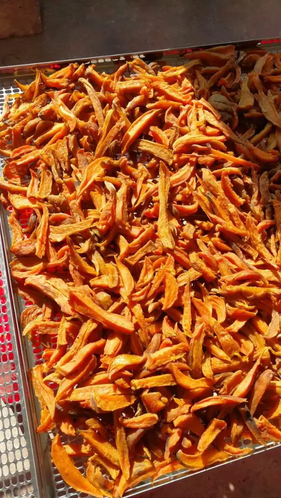 AIM Energy Saving Heat Pump SS 304 Small Automatic Ozone Sterilization Commercial Tray Type Food Dryer Drying Machine Dehydrator