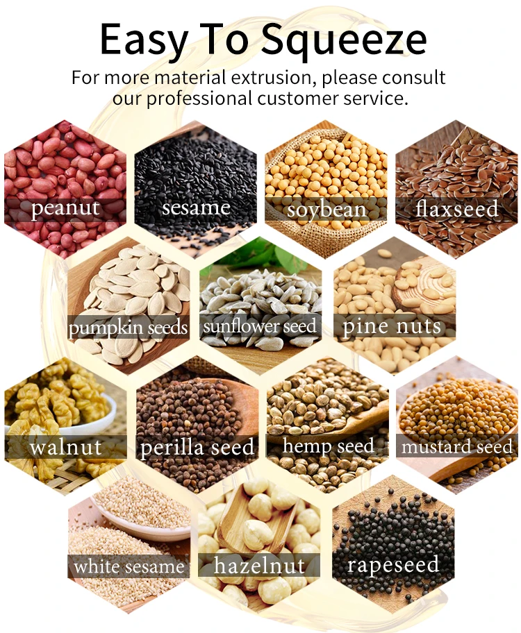 Mini Cold Oil Producing Machine Small Home use Peanut Soybean Sesame Sunflower Coconut Screw Oil Press Machine