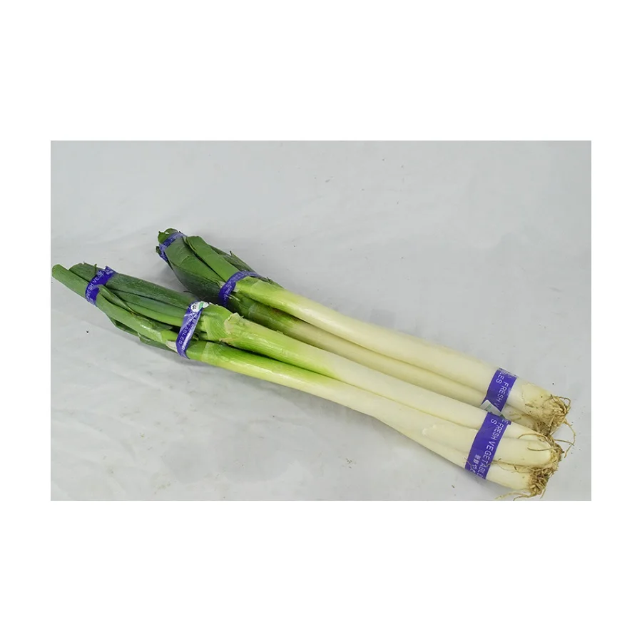
Cheap Edible Green Onions Supply Plenty Of High Quality Fresh Green Onions 