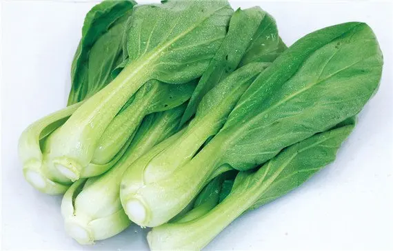 Air Dried Dehydrated Chinese Cabbage bok choy/Green Vegetable