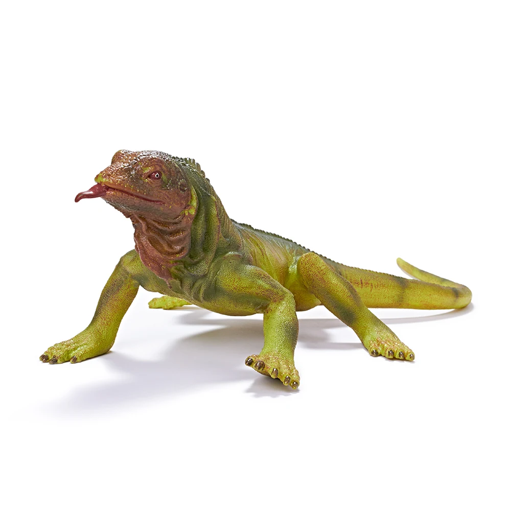 50cm 20 inch 1:4 Incredible Creatures Pet Natural American Lizard Rainforest Animals Common Green Iguana Super Realistic Figure