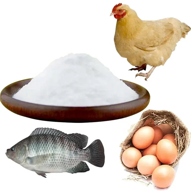 Poultry aquaculture  VC additives  Feed Grade Vitamin C raw material Ascorbic Acid