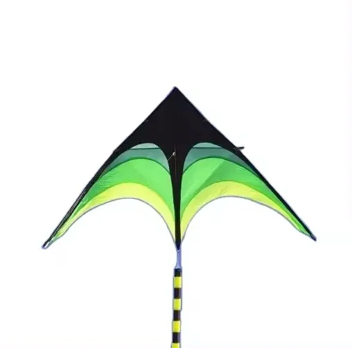Outdoor wholesale large delta kites tails with handle outdoor toys for kids kites nylon ripstop albatross kite factory