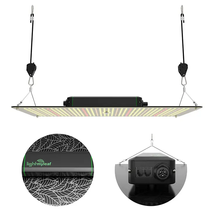 new arrival quantum Lightmyleaf driver hydroponics grow light indoor 240w plant grow light