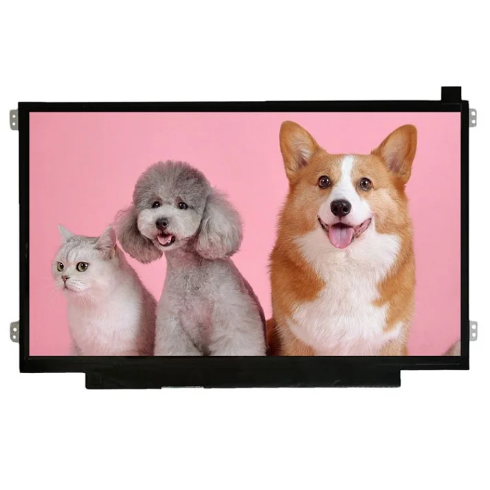 High Quality Wholesale 11.6 Inch Monitor 1366*768 Display Screen NV116WHM-N49