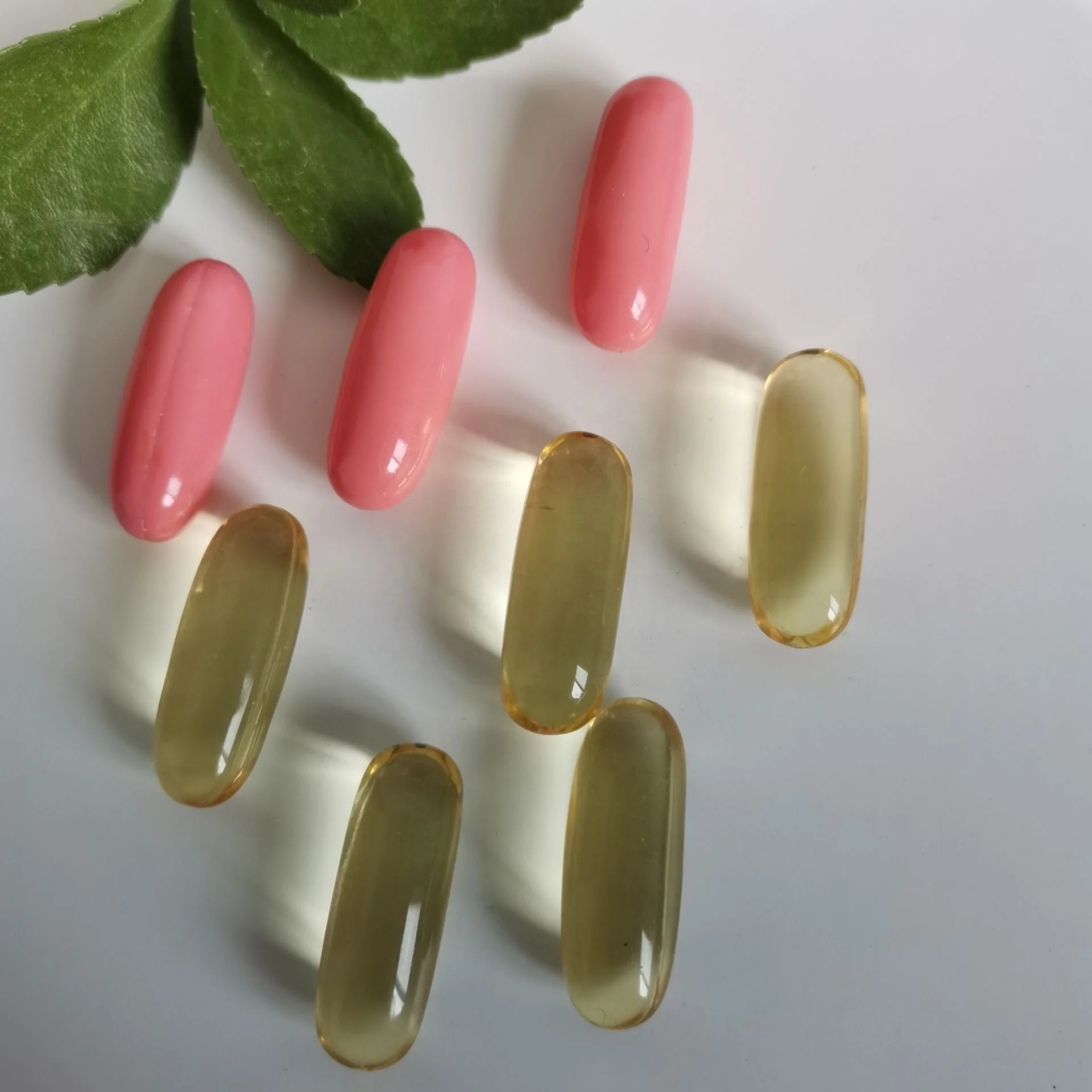 OEM brand best omega 3 fish oil softgel capsules Beauty products