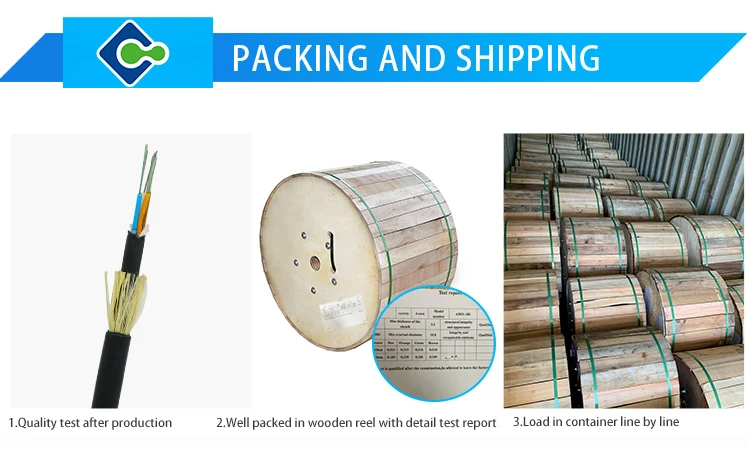 ADSS Details (12).jpg