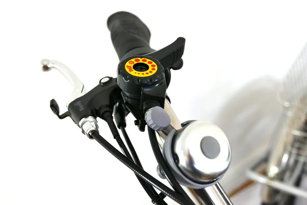 36V 20 Inches Tricycle Electric 250W 3 Wheel Electric Bike With Basket (EB01)