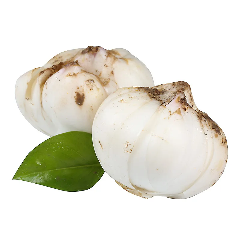 
Made of high-quality materials white 100% natural organic premium fresh lilium brownii 