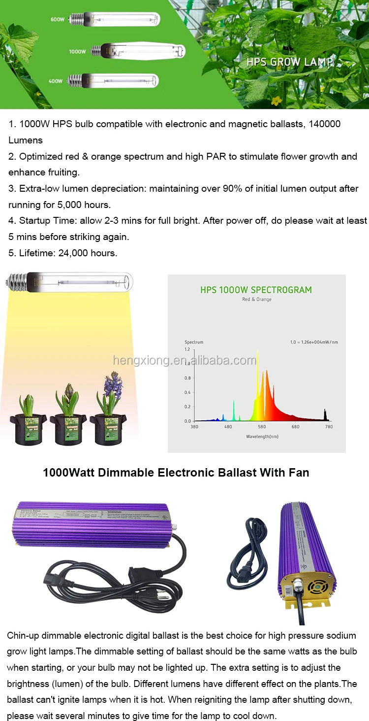 1000W HPS bulb.jpg