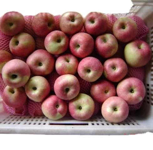 Яблоко Гала