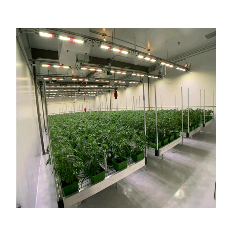 Hydroponics System Seeds Growing Tray in Aeroponic Garden Microgreens Tray