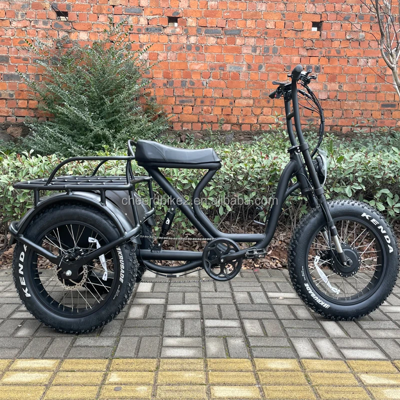 electric cargo bike 1.jpg