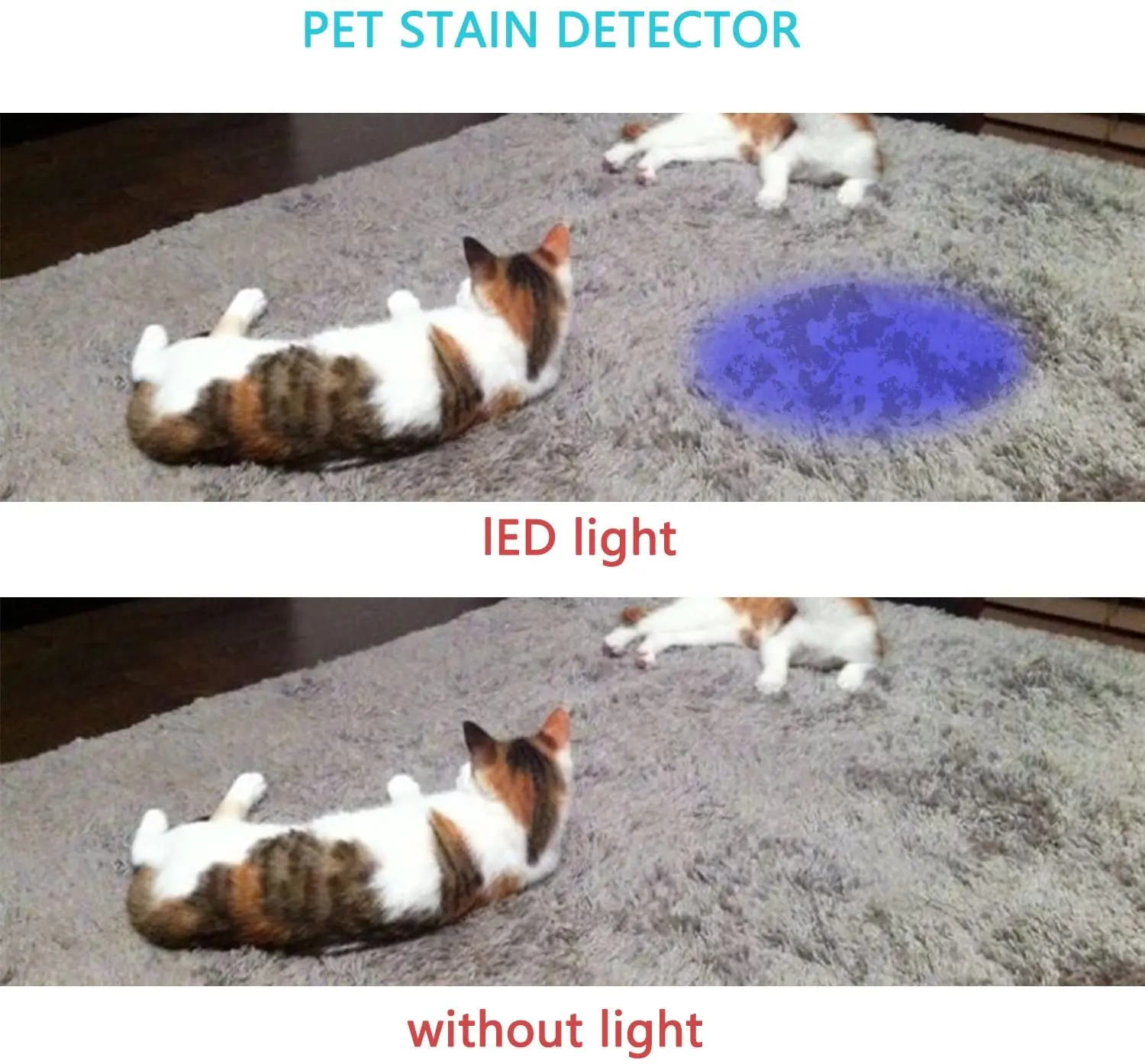Blue UV Flashlight Detector 395nm 365nm LED Torch Light for Money Checker Scorpions Bed Bugs Curing UV Glue Aluminum Torch