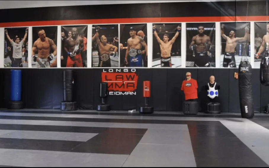 Factory Martial Arts Judo mats roll out Wrestling mats roll mma bjj mats