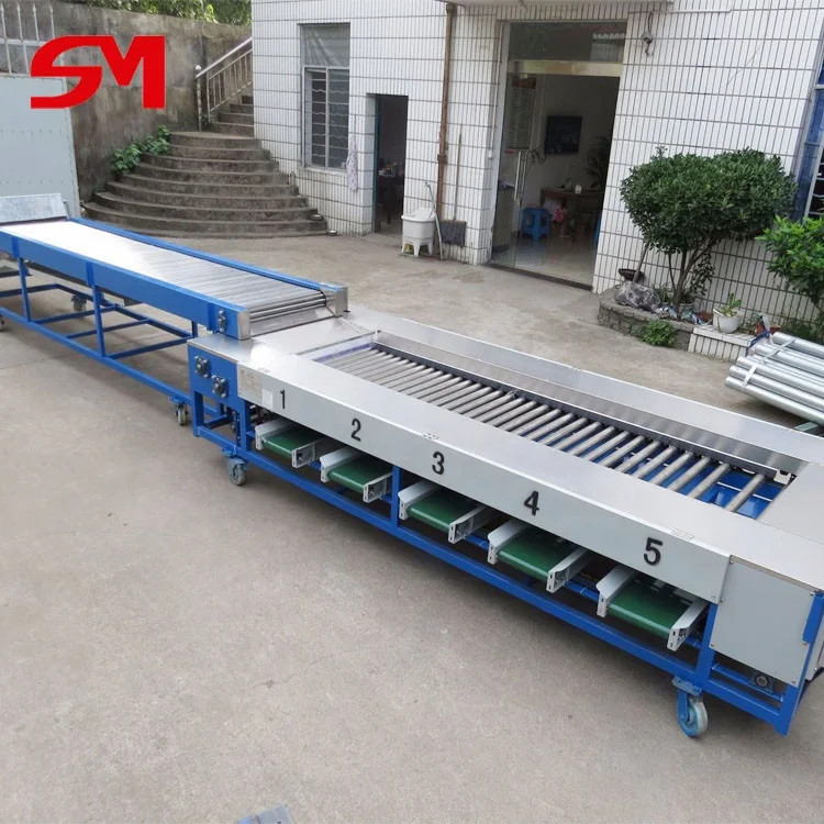High Efficient Most World Popular Frozen Cherry Tomatoes Sorting Machine