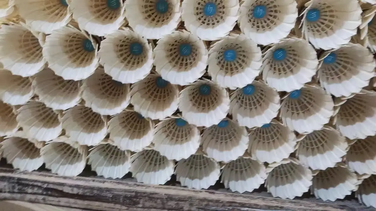 High Quality Goose Feather Shuttlecock Popular Badminton Product Wholesale from Taiwan Brand