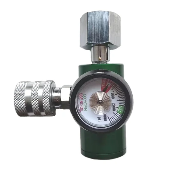 Gas Pressure Regulator