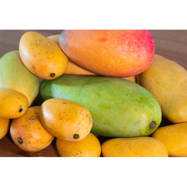 Fresh Premium Mangoes 4 Varieties (ataulfo, Kent, Keitt, Tommy Atkins) - High Quality, Best Price, Directly From Mexico