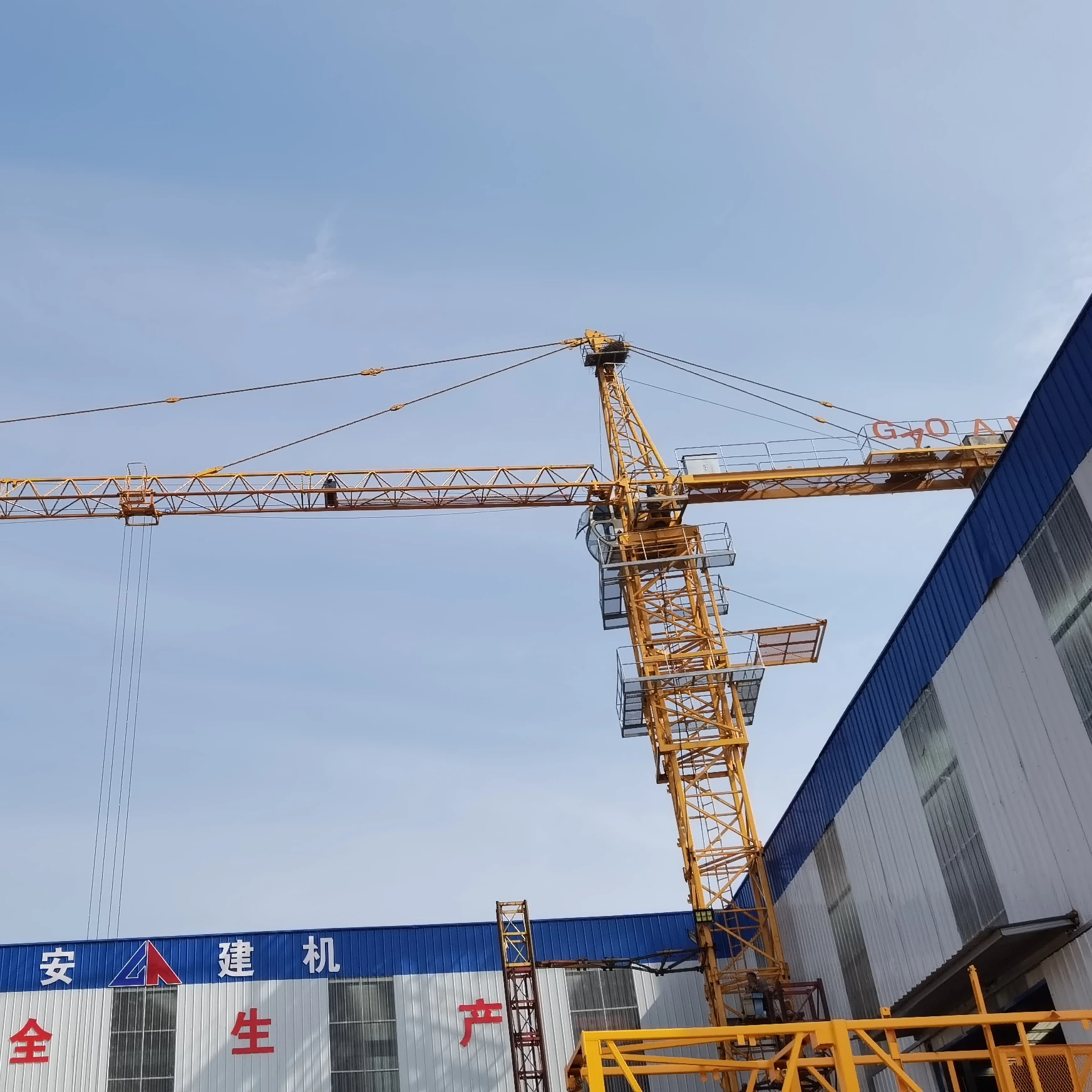 Factory Price  8ton  tower crane sale  TC6012  tower crane price