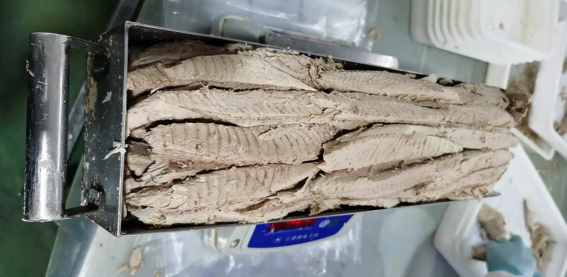 Frozen  Precooked  Skipjack  Bonito Tuna 90% Loin + 10% Flakes for Canned Tuna Seafood hot sale factory delivery