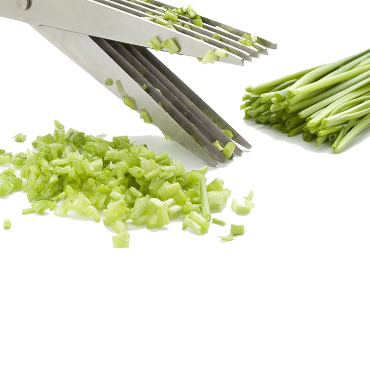 Professional High Quality 5 Blades Kitchen Food Scissors Beauty Scissor With Colorful PP Handle For Kitchen