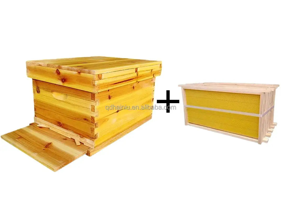 Unassembled 10-Frame Deep Bee Box New Beeswax Beehive Box for Beekeeping and Farm Industries