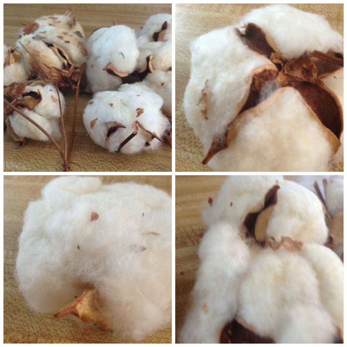 
PROCESS COTTON A GRADE 
