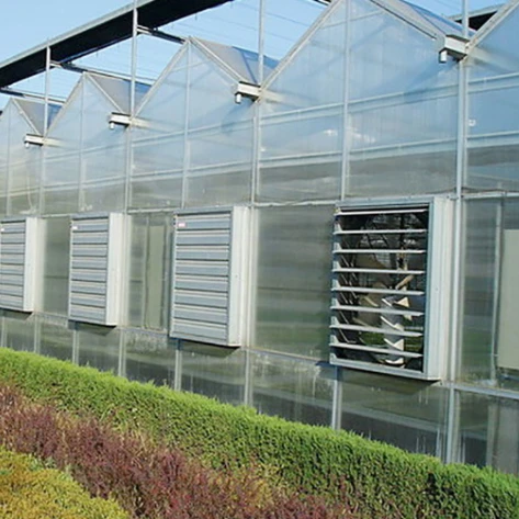 Polycarbonate gutter connected  tomato greenhouse philippines