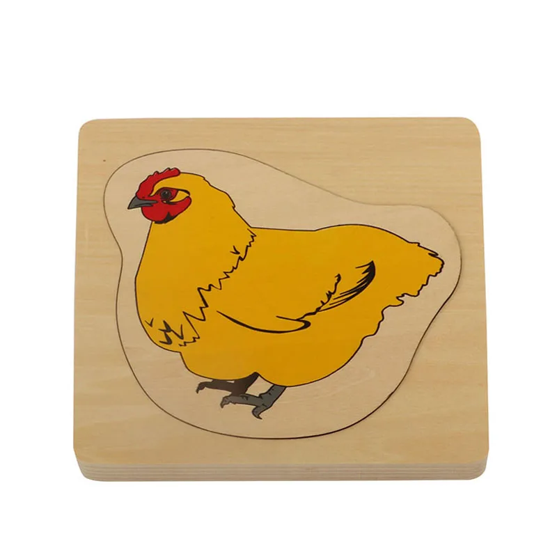 BO060 Development of Chicken montessori biology equipment materials wholesale suppliers manufactures wooden educational toys
