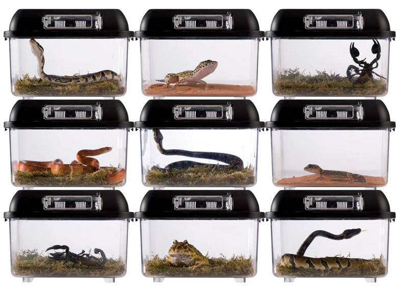 Portable Plastic Reptile Breeding Cage For Insect And Small Reptile Keeping