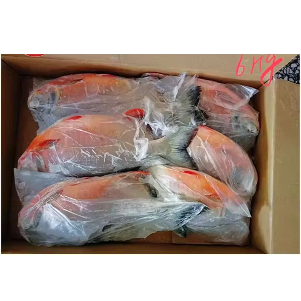 Китай замороженная красная рыба Паку морепродукты Помфрет