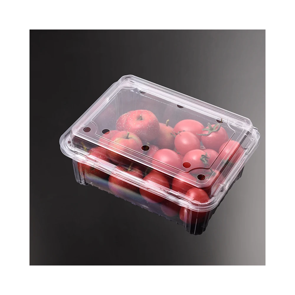 Disposable RPET PET Plastic Storage Container Clear Clamshell Blister Custom Grape Blueberry Tomato 500g Fruit Packaging Box