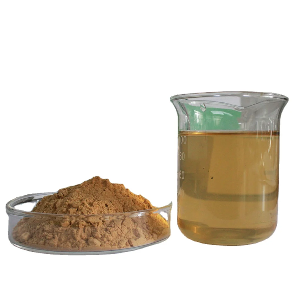 Factory Monkey Head Mushroom Extract Hericium erinaceus (Bull.) Pers 20% beta glucan kit Naturalin Monkey Head Mushroom Powdered