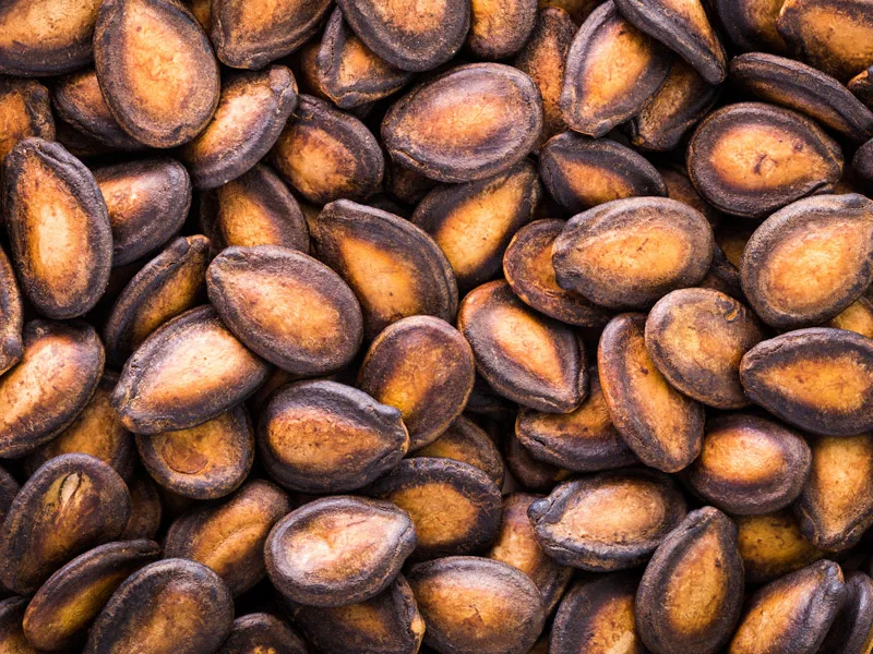 Medium Size Exporters Agriculture Eat Kernels Dried Black Red White Watermelon Melon Seeds Kernels For Mix Nuts Wholesale