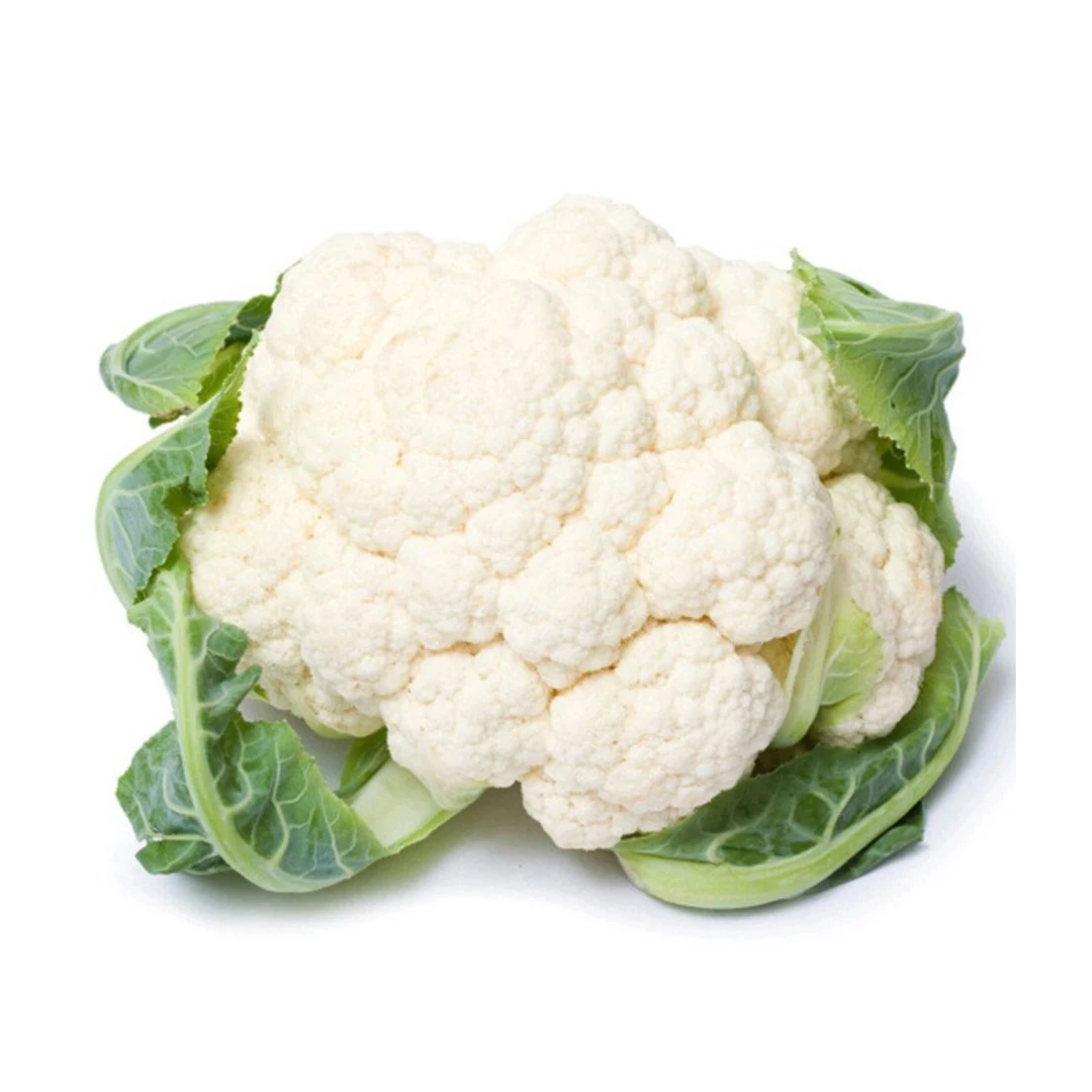 Wholesale Healthy Fresh Vegetable White Fresh Cauliflower