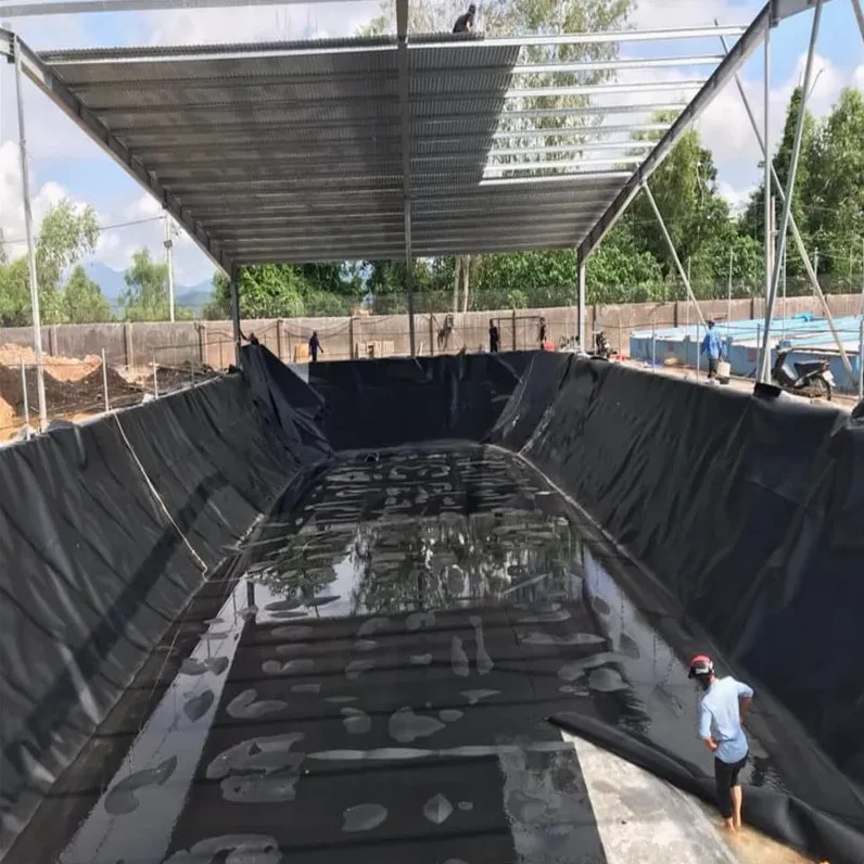 Водонепроницаемый полиэтиленовый вкладыш высокой плотности Geomembranas Hdpe подводка для пруда креветочной фермы геомембранный лист