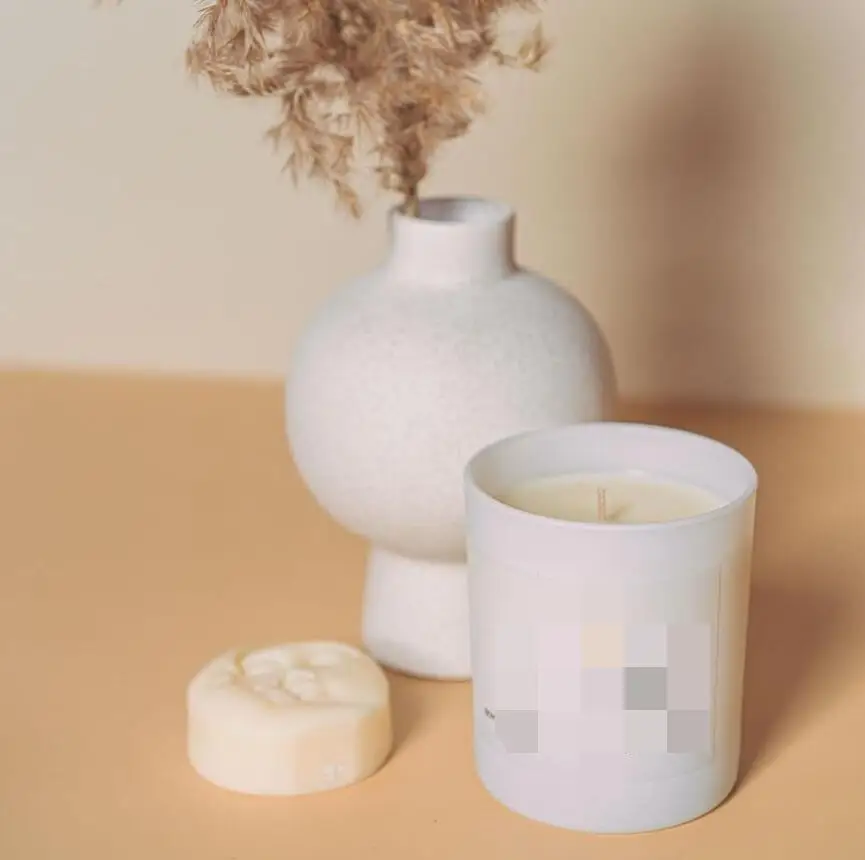 christmas white handmade soy wax luxury private label scented candle/candel