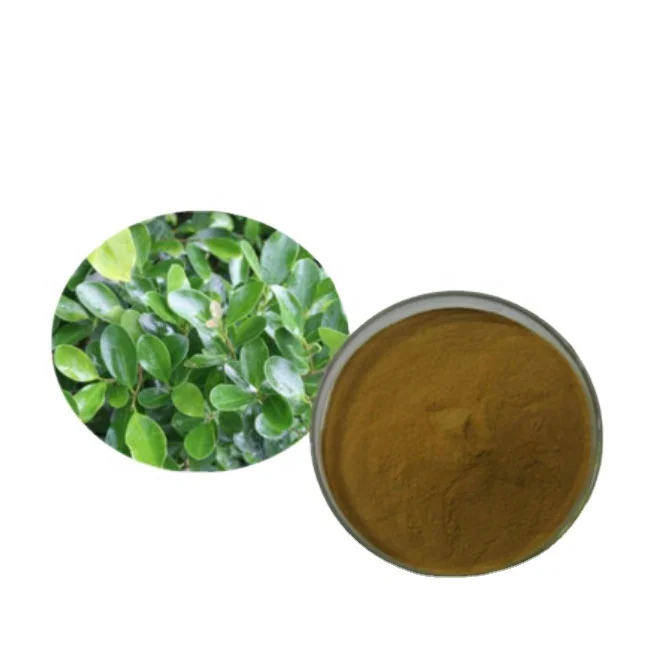 Заводская поставка 100% натуральный органический экстракт Buxus sinica порошок экстракта 99% самшита