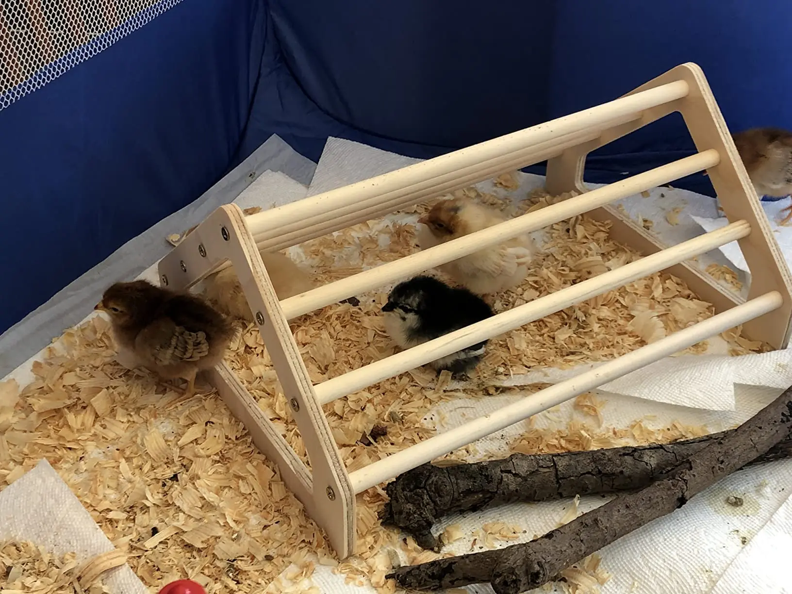 Wooden Jungle Gym Roosting Bar Chicken Toys for Coop and Brooder for Baby Chicks Pet Holder