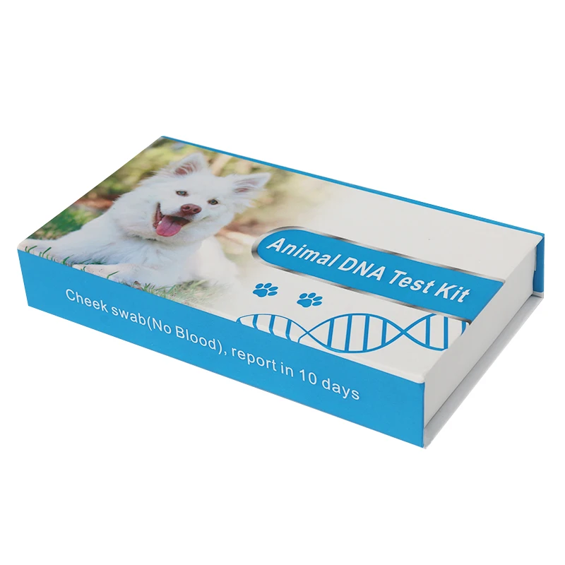 Birds Dna Test Kit Saliva Collection Kit Dna Dna Testing For Dogs