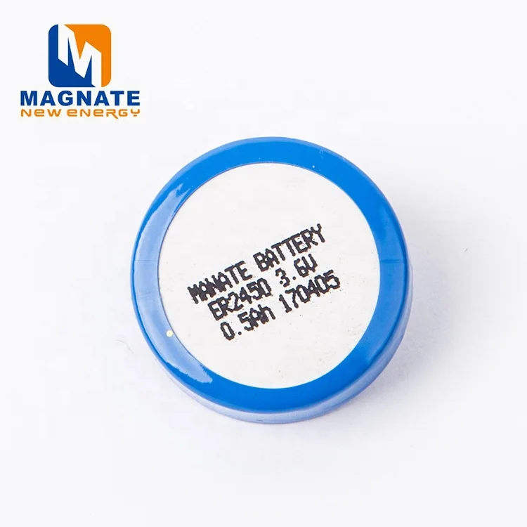 TPMS Battery ER2450T ER2450 3.6V 500mAh Lithium Battery