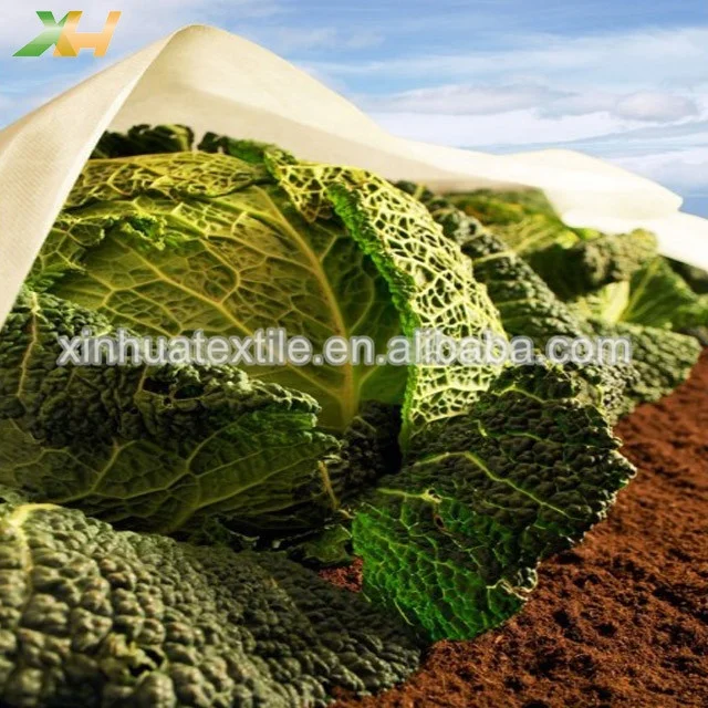 PP Spunbond nonwoven fabric rolls tnt waterproof non-woven fabric cover Agricultural mulch non woven fabric