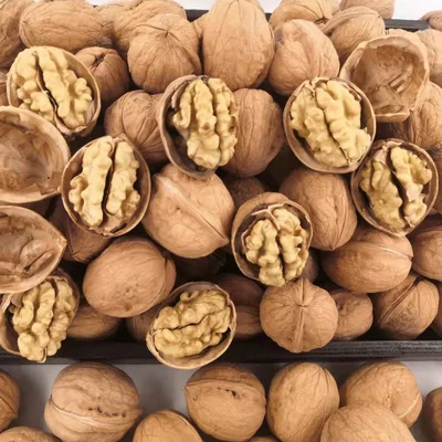 On sale Ceviz cheap fresh or dried biggest walnut organic bulk snack walnut