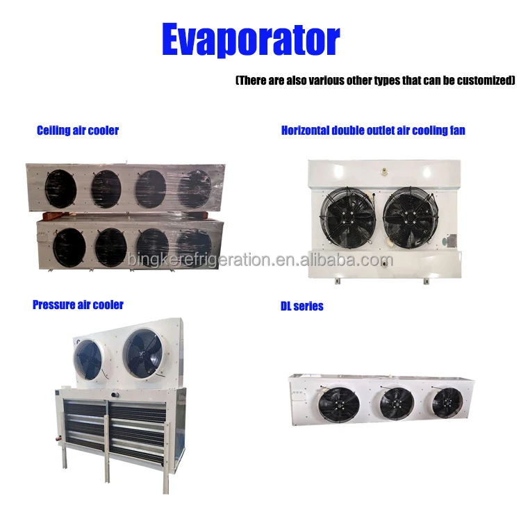 New Cold Storage Air Cooler for industrial Use Refrigerant Parts 06DR7250DC0600 Original Semi-Closed Piston Compressor