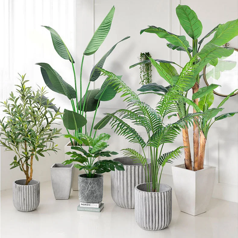 Nearly Natural Indoor Outdoor Decor Plastic Bonsai Faux Plants 5 Ft 6 Ft 180cm 6ft 6 Feet 2m 2.1m Fake Olive Tree Artificial