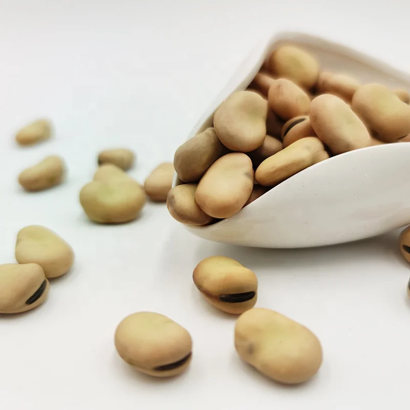Bulk Faba Beans Baking Ingredients White Bulk Packaging 50kg/pp Bag Dried FD Broad Bean Fava Beans Vicia Faba Hongji 15 Mm 50 Kg