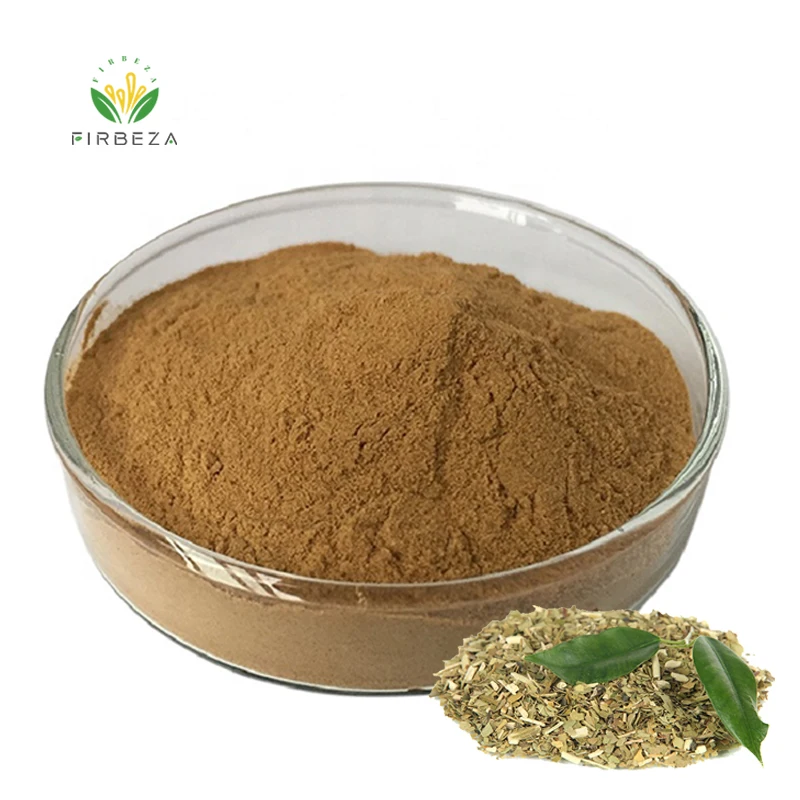 Chinese Manufacturer 100% Pure Organic Instant 10:1 Yerba Mate Tea Extract Powder