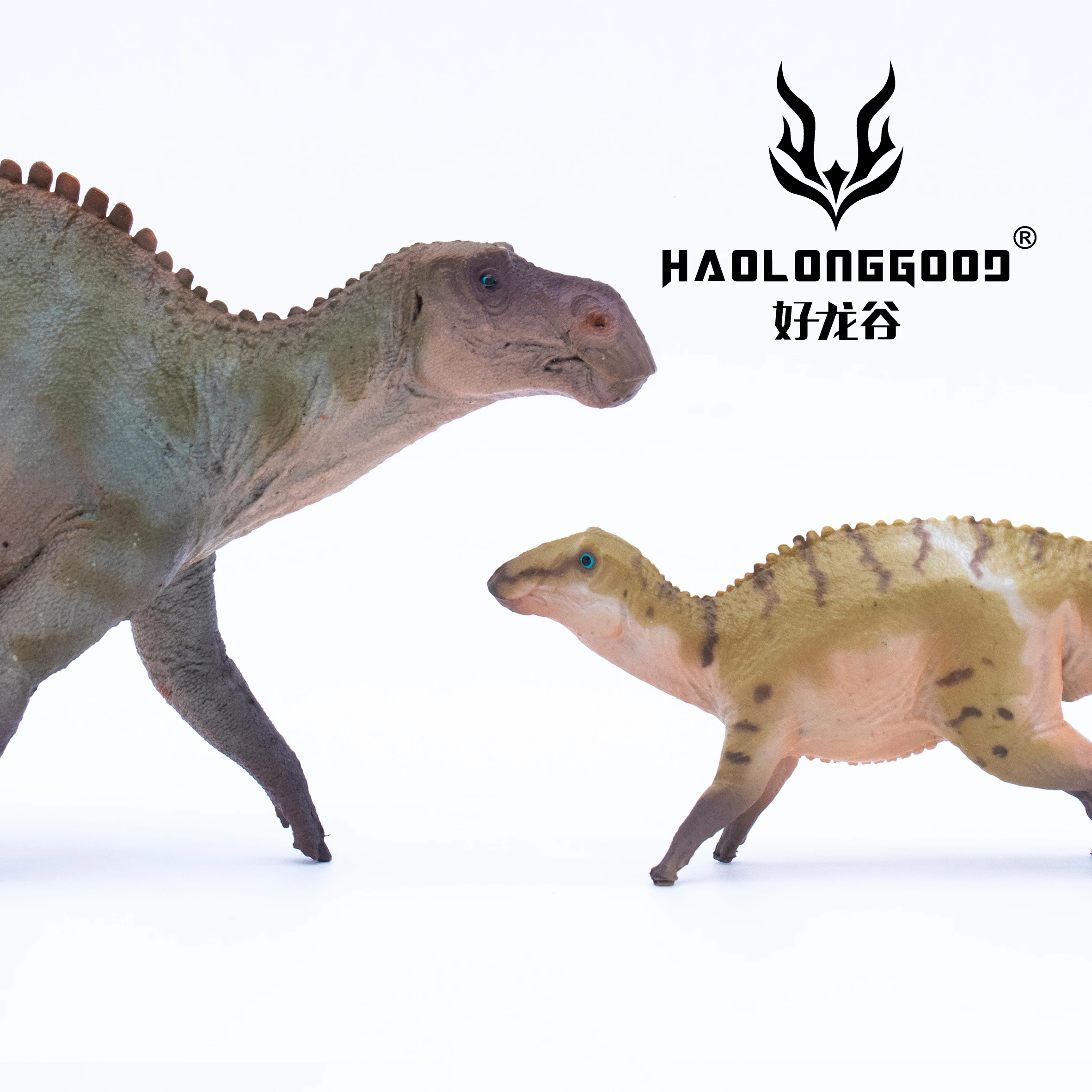 HaoLongGood Custom Plastic Realistic Dinosaur Figurines Dinosaur Statue Dinosaurs Figure Toy For Kid Educational Gift PVC Unisex